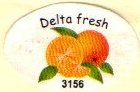 delta fresh 3156