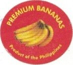 premium bananas product of the philippines