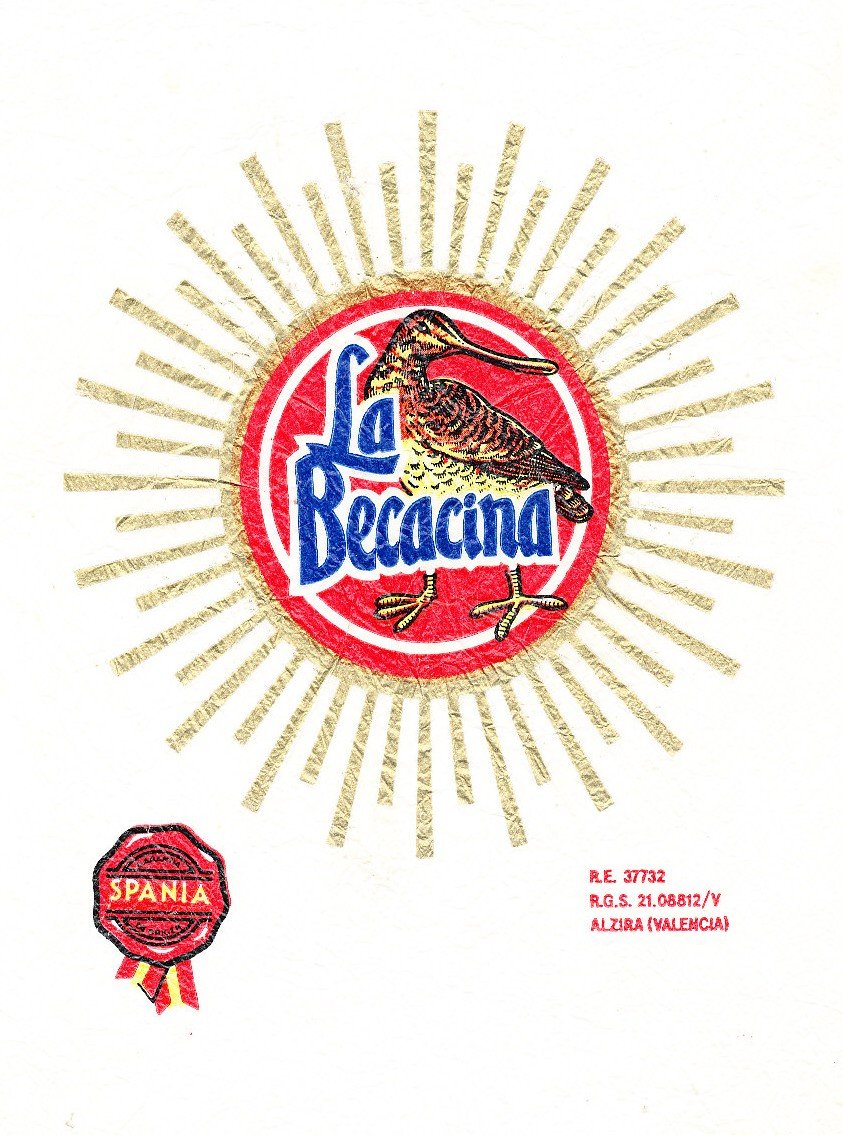 La becacina spania alzira valencia