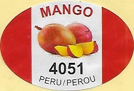 Mango 4051 peru/perou