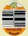 aussie royal gala 4173 westcastle