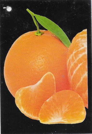 Mandarine variete orri 1,5kg 8436625680013