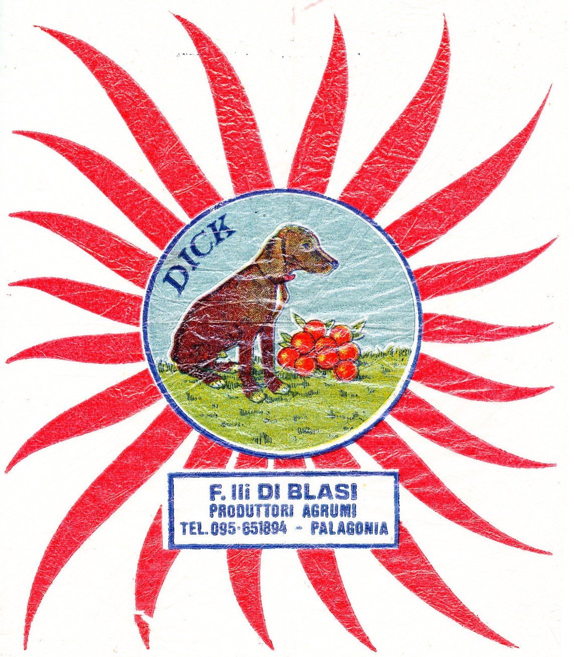 dick f.lli di blasi produttori agrumi palagonia