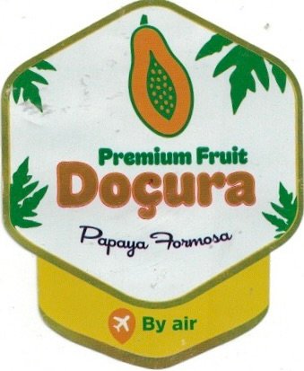 Docura premium fruit papaya formosa by air