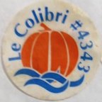 Le colibri #4343
