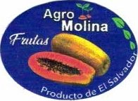 frutas agro molina producto de el salvador