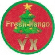 Fresh mango yx