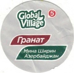 Global Village 5