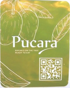 Pucara ripened on the tree ready to eat