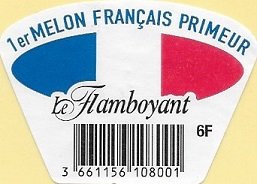 Le flamboyant 1er melon français primeur 6f 3661156108001