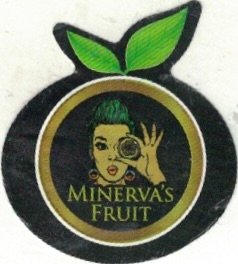 Minerva s fruit