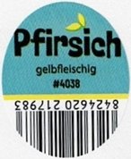 pfirsich gelbfleischig #4038 8424620217983