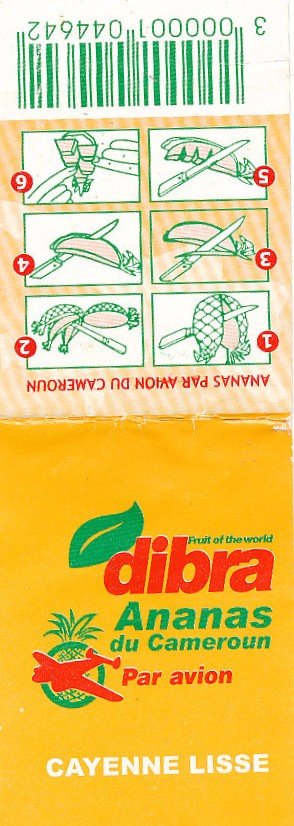 Dibra fruit of the world ananas du cameroun par avion cayenne lisse 3000001044642