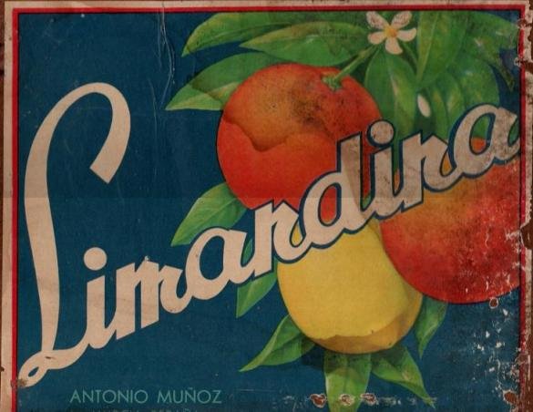 limardina antonio munoz murcia espana