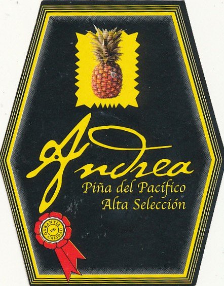 andrea pina del pacifico alta seleccion