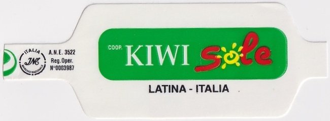 kiwi sole latina italia