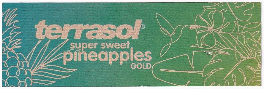 Terrasol super sweet pineapples gold lidl 20586409 product of ecuador 9
