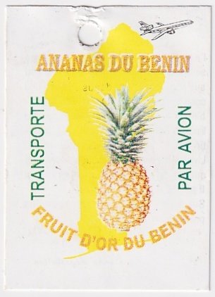 Ananas du benin fruit d or du benin transporte par avion