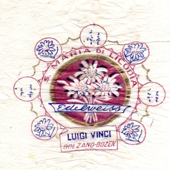Edelweisss maria di licordia paterno luigi vinci bolzano bozen