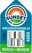 Sunset greenhousegrown.ca cim 4689 mexico mexique