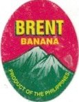 Brent Banana product of the philippines