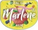 Marlene royal gala 4174