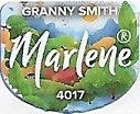 Marlene granny smith 4017