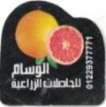 arabe (01229377771)