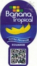 Banana tropical extra premium ecuador