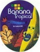 Banana tropical extra premium ecuador