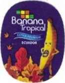 Banana tropical extra premium ecuador