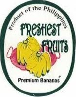 Freshest fruits product of the philippines premium bananas