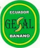 Gesal ecuador banano