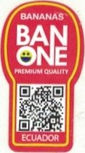 Banone bananas premium quality ecuador