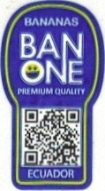 Banone bananas premium quality ecuador