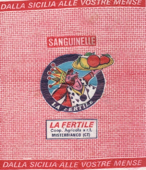 sanguinelle la fertile misterbianco dalla sicilia alle vostre mense