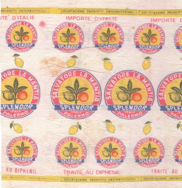 Splendor salvatore la mantia italy palermo importe d italie traite au diphenil esportazione prodotti ortofrutticoli