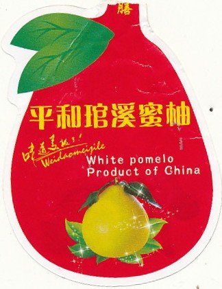 white pomelo procuct of china