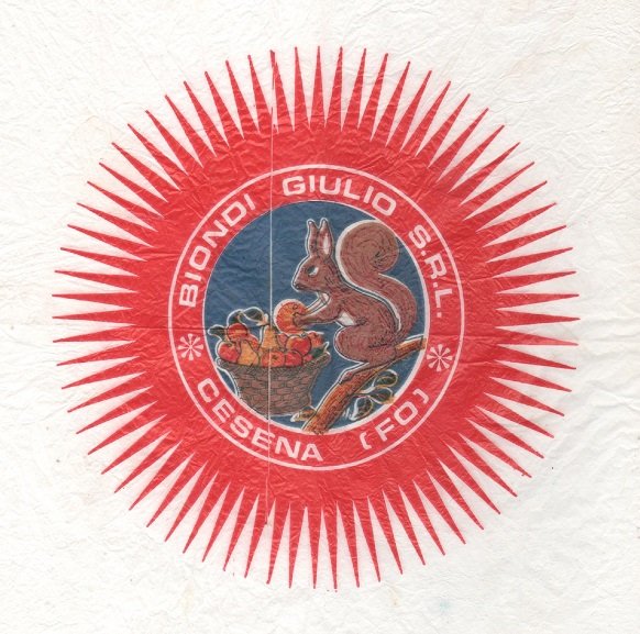 biondi giulio s r l cesena (fo)