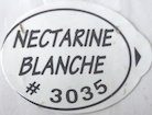 nectarine blanche #3035