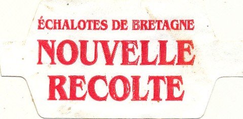 Echalotes de bretagne nouvelle recolte