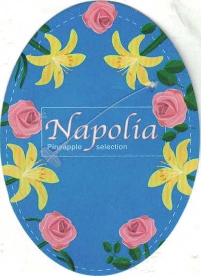 Napolia sweet pineapple costa rica donatella fruit