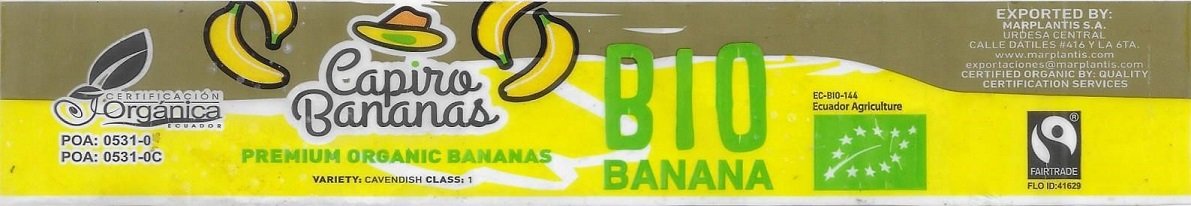 Capiro banans bio banana ecuador agriculture ec-bio-144 flo id:41629