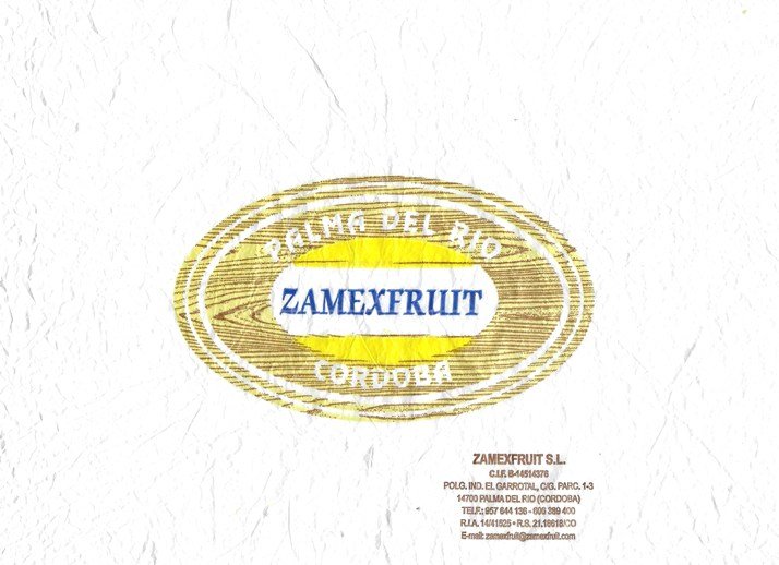 zamexfruit palma del rio cordoba zamexfruit s l