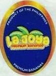 La joya product of the philippines premium bananas