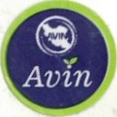 Avin