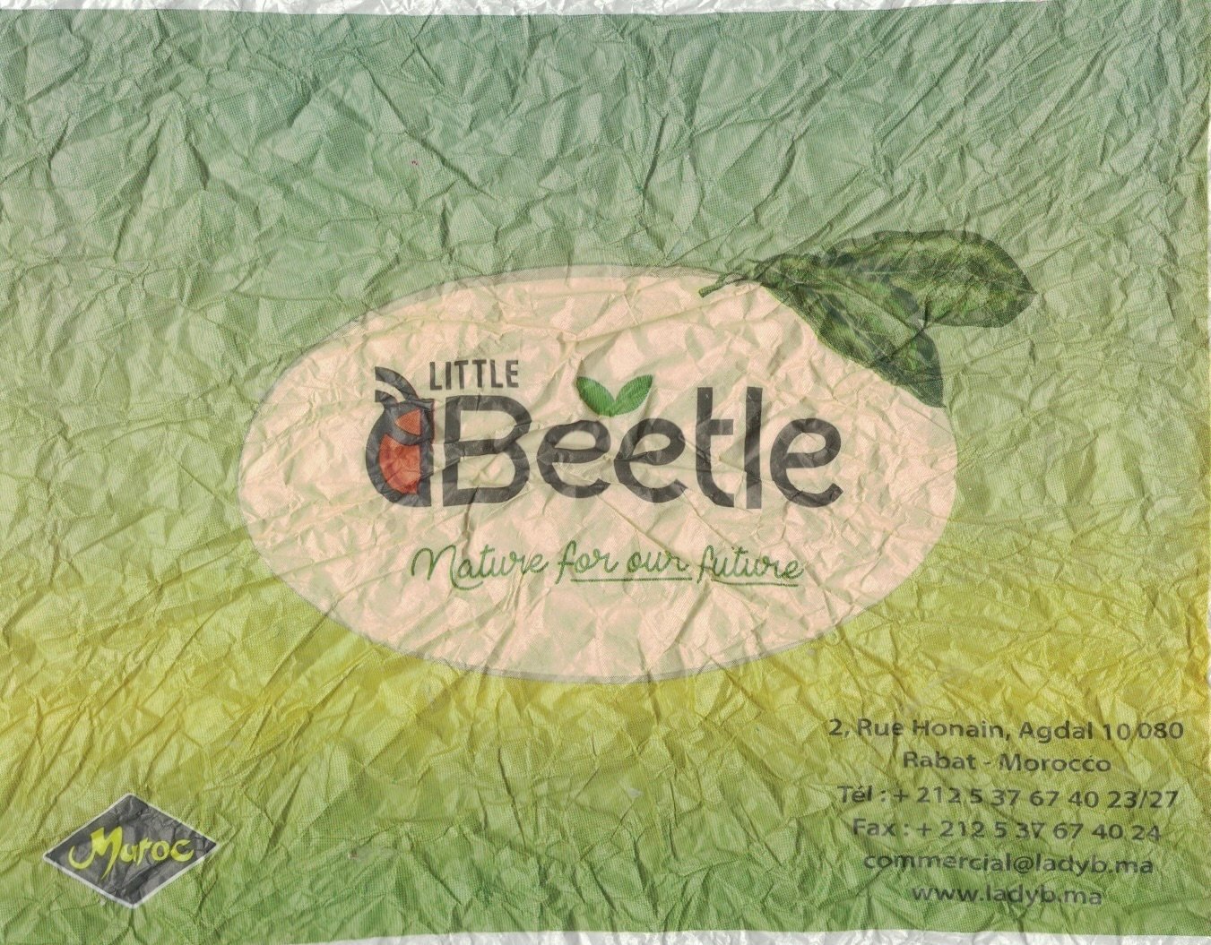 Little beetle nature for our future maroc www.ladyb.ma