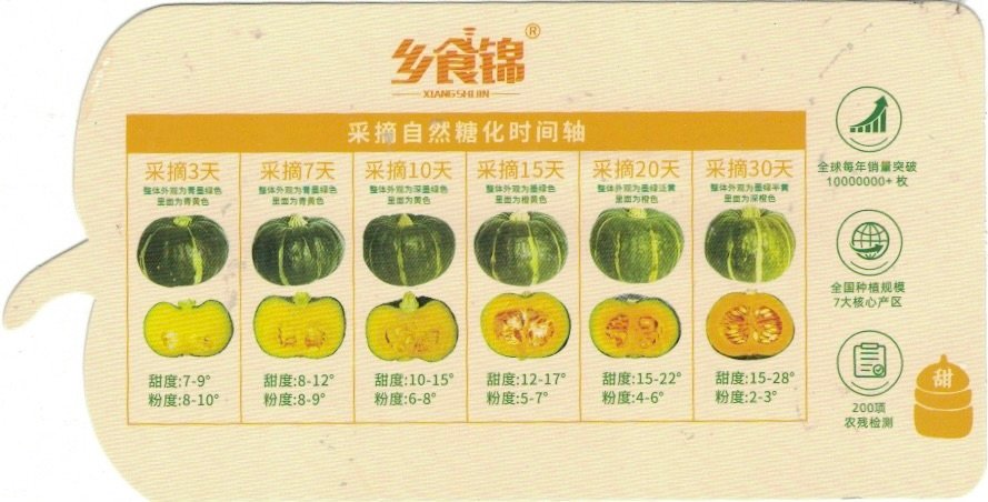 Xiang Shijin