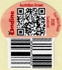 Ondine australian grown flat white nectarine 3133 sunland