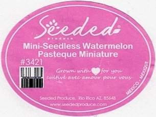 seeded mini-seedless watermelon pasteque miniature #3421 mexico mexique www.seededproduce.com
